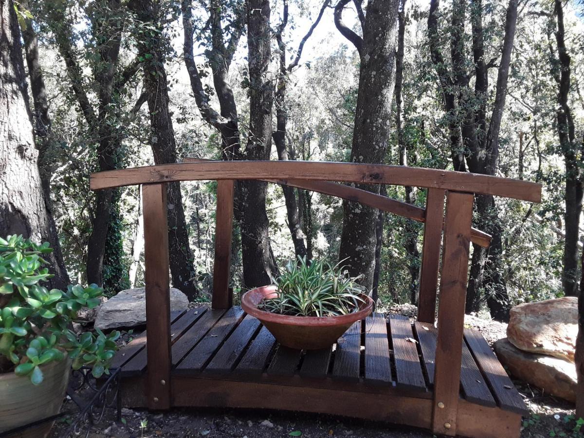 Apartamento Pietracorbara les Chênes Oreta Exterior foto