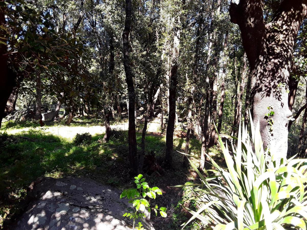 Apartamento Pietracorbara les Chênes Oreta Exterior foto