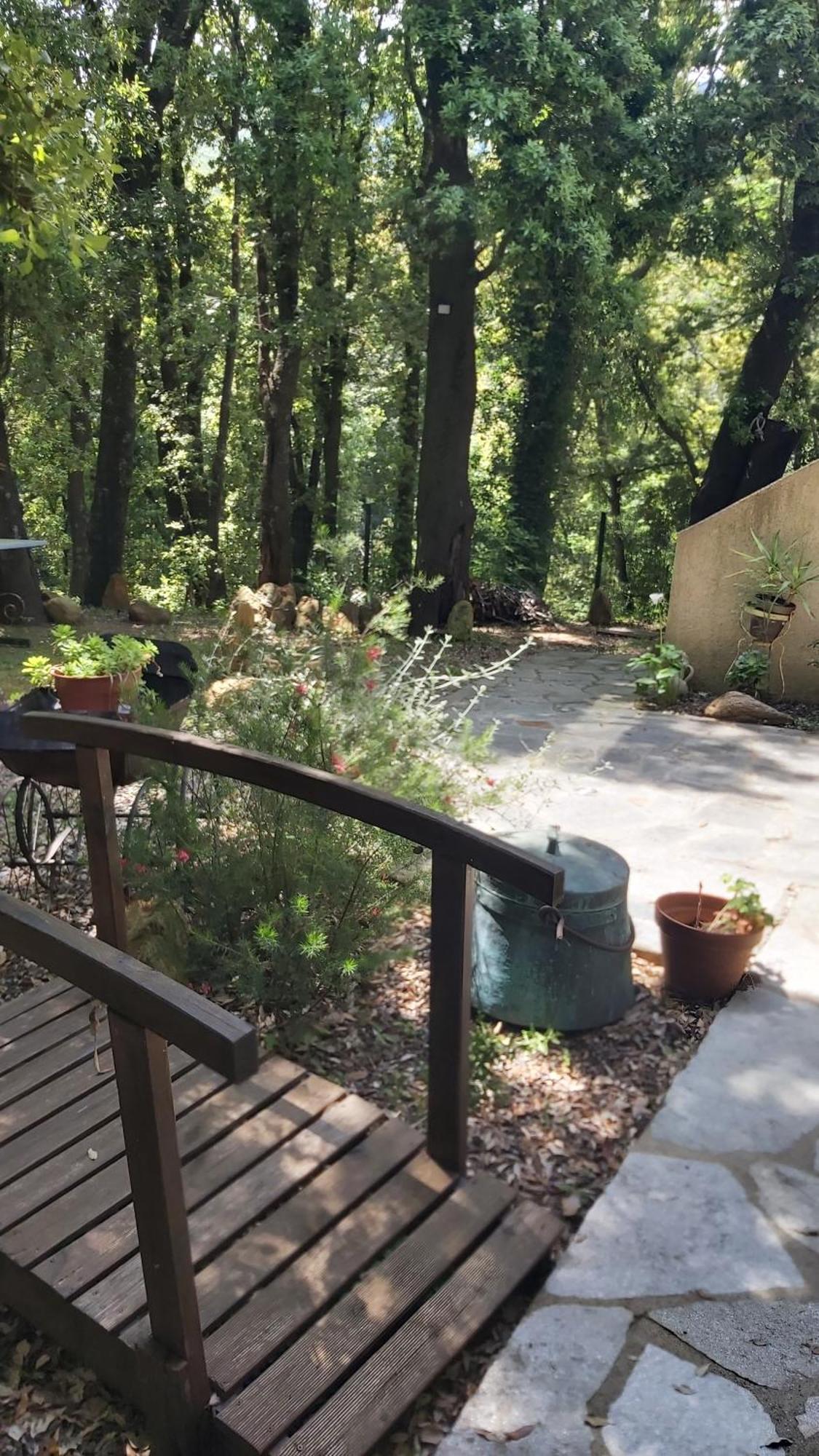 Apartamento Pietracorbara les Chênes Oreta Exterior foto