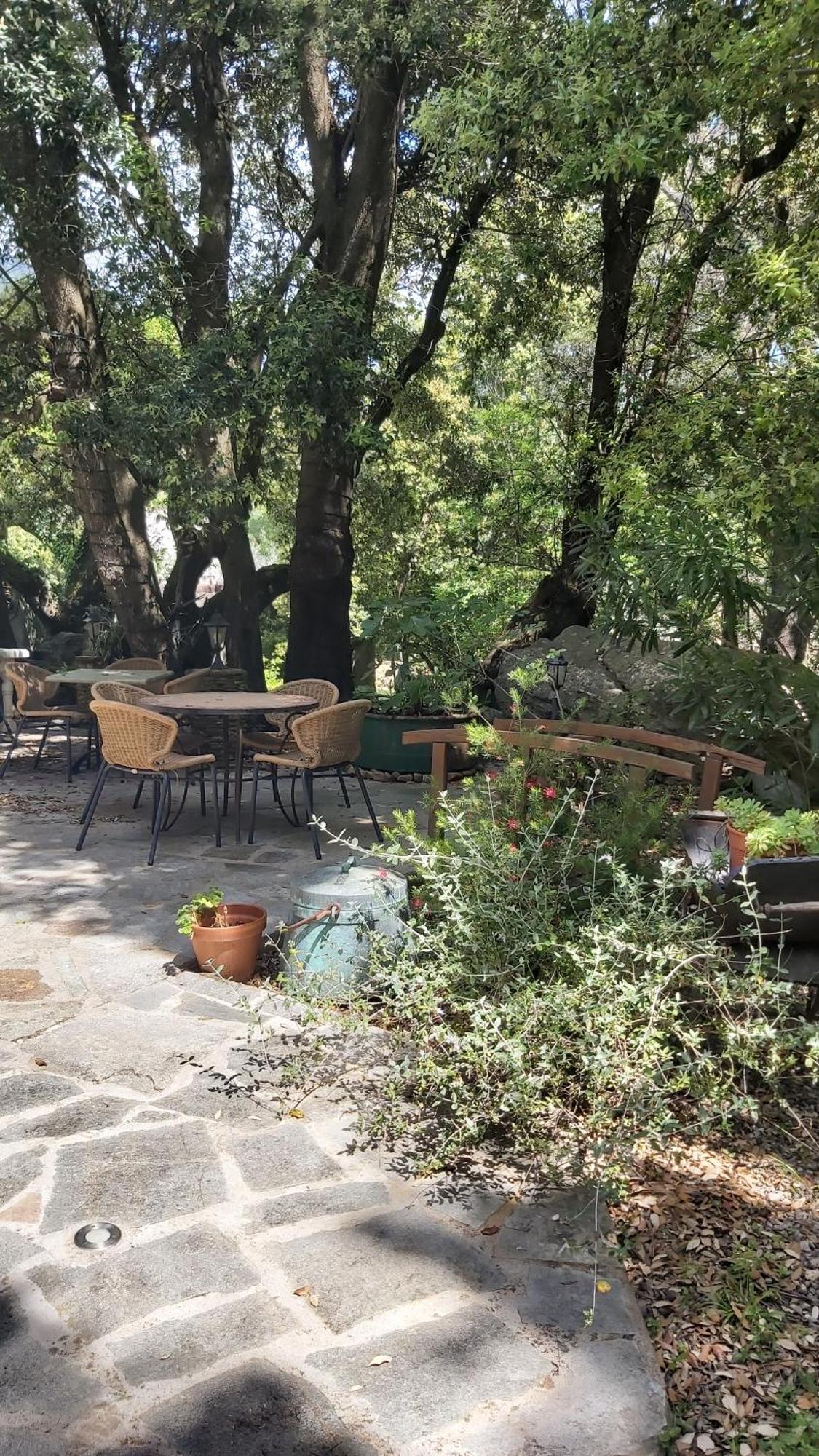 Apartamento Pietracorbara les Chênes Oreta Exterior foto